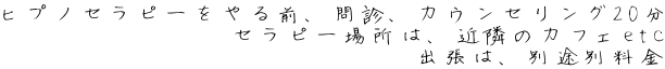 ヒプノセラピーをやる前、問診、カウンセリング20分 セラピー場所は、近隣のカフェetc 出張は、別途別料金 