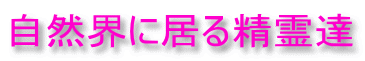 自然界に居る精霊達